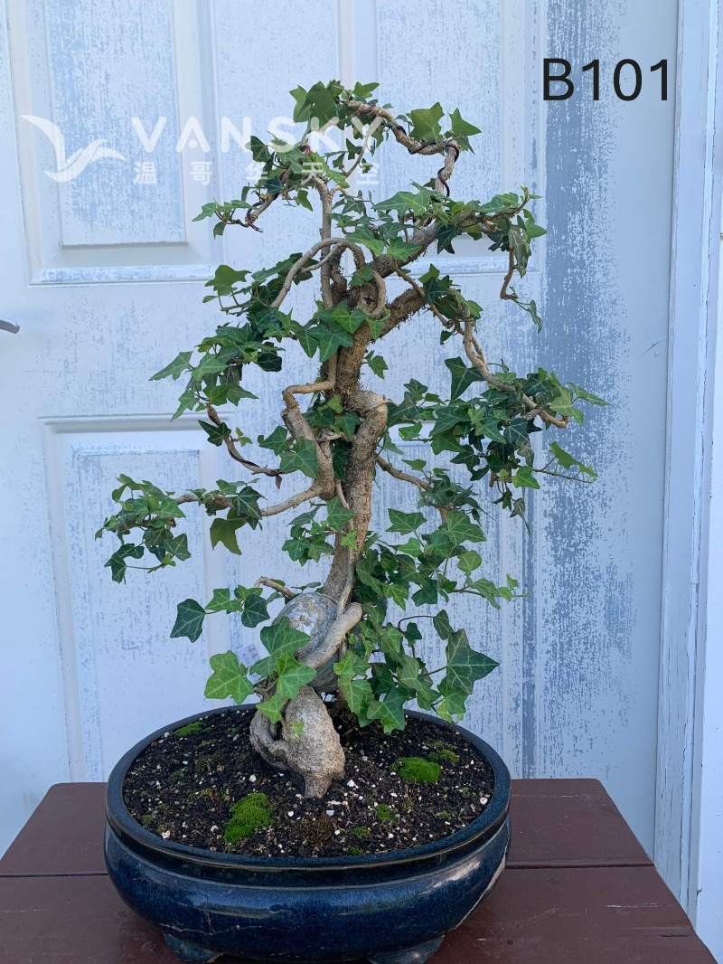 260224235133_B101 6 - 24-08.JPG